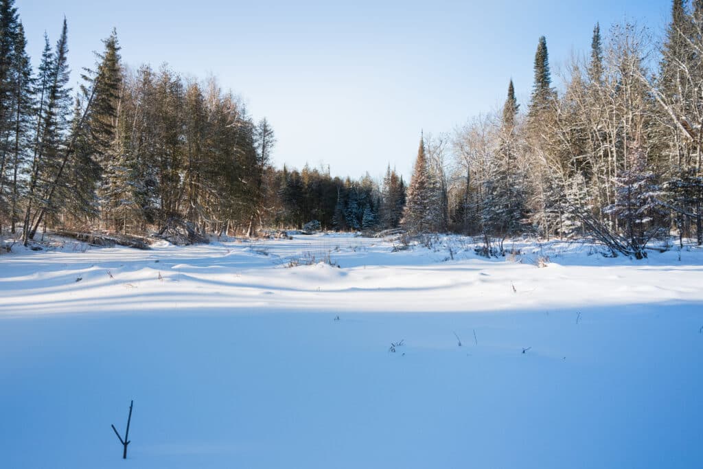 Akiing Azhenan: Bois Forte Band of Chippewa Project